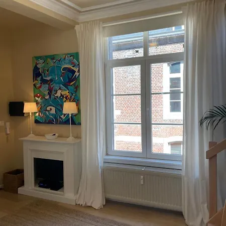 Le 25, Duplex Elegant Au Coeur Du Pietonnier Historique Διαμέρισμα