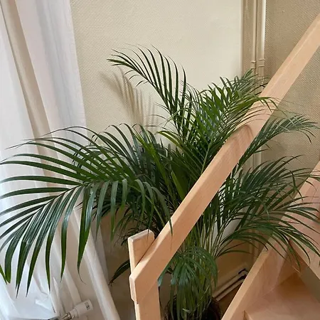 Apartamento Le 25, Duplex élégant Au Cœur Du Piétonnier Historique *