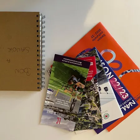 Le 25, Duplex élégant Au Cœur Du Piétonnier Historique *