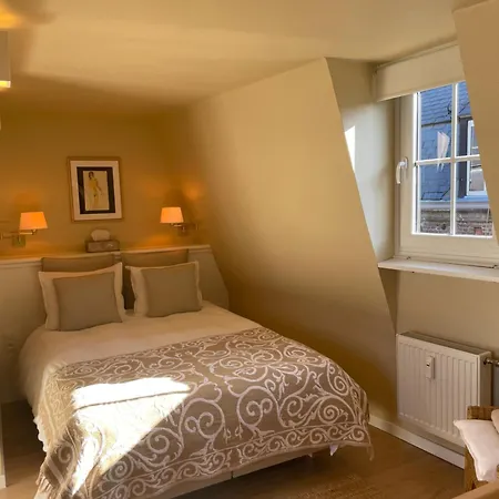 Le 25, Duplex Elegant Au Coeur Du Pietonnier Historique Διαμέρισμα